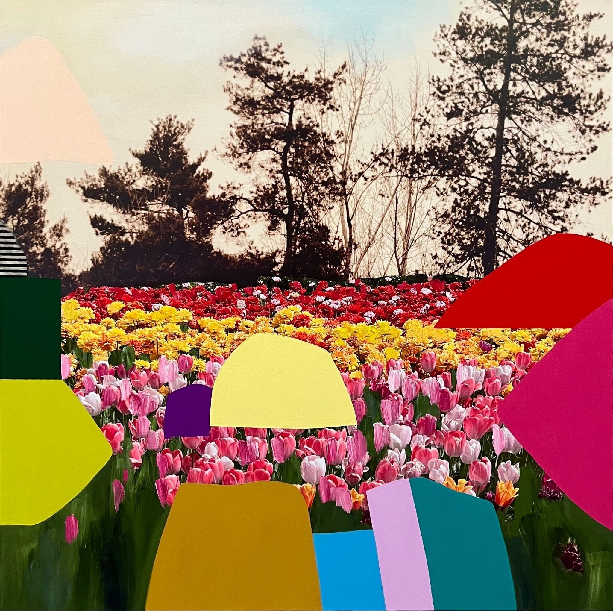 Emily Filler, Field of Tulips, on display at Nester Finn Entertainment District, Toronto